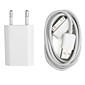  Power Adapter & USB Charging Cable for iPhone 4 (White)